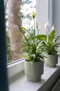 Zdjęcie z galerii obiektu Apartament Anna w mieście Sopot