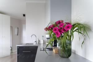 Kuchnia lub aneks kuchenny w obiekcie Apartament Anna