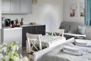 Kuchnia lub aneks kuchenny w obiekcie Apartament Anna