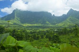 Elle offre une vue sur une vallée verdoyante avec des montagnes en arrière-plan. dans l'établissement RAIATEA - Studio Tenape, à Tevaitoa