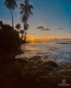 a sunset on the beach with palm trees at Beach Eco Stays Hotel Boutique Lagoinha in Paraipaba +84 photos