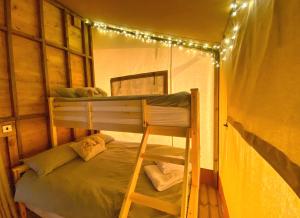 a bunk bed in a room with lights on it at Little North Field Family Safari Tent Glamping near Harrogate in Harrogate