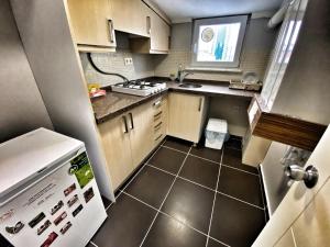 a small kitchen with a stove and a refrigerator at Alme Sui̇te in Istanbul