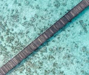 a metal ruler laying on top of the water at Hitha Maldives - Omadhoo in Omadhoo