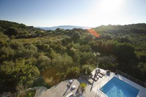 an overhead view of a swimming pool in a forest at Cipra Apartments in Okrug Donji