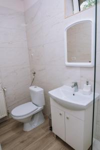 een badkamer met een toilet, een wastafel en een spiegel bij The Home in Timişoara