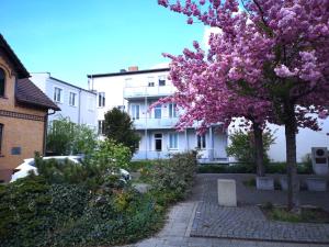 a tree with purple flowers in front of a building at PB Ferienwohnungen - FeWo 3 - Stilvoll eingerichtetes Studio im Herzen Senftenbergs in Senftenberg