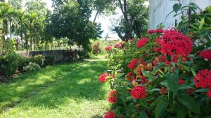 Zahrada ubytování Lost and Find Homestay