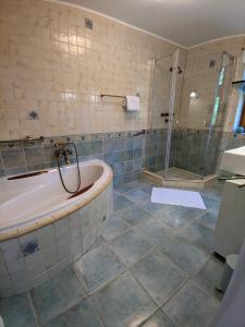 巴拉頓菲茲弗的住宿－Blue Haven Vendégház, Balatonfűzfő，设有带浴缸和淋浴的浴室。