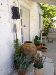 um grupo de vasos de plantas na frente de uma porta em Aνεξάρτητη παραδοσιακή πέτρινη κατοικία em Kórinthos
