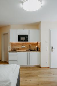 Köök või kööginurk majutusasutuses Chill & Relax Apartments in Neusiedl am See