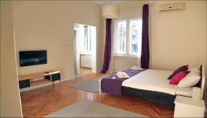 Un dormitorio con una cama y un televisor. en Apartment Central, en Belgrado