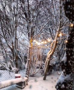una valla cubierta de nieve con árboles y luces en Casa cronopio en Ushuaia