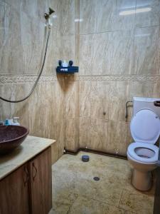 クルジュ・ナポカにあるHanul Fortareteiのバスルーム(トイレ、洗面台付)