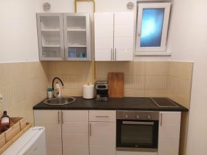 Cucina o angolo cottura di River Lux