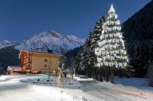 un arbre de Noël recouvert de neige devant un bâtiment dans l'établissement Hotel Garni Pegrà, à Ponte di Legno