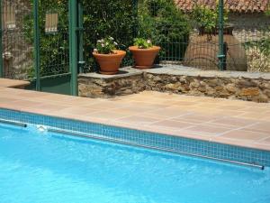 una piscina con dos macetas al lado en Studio on rural authentic finca with shared pool, en La Borrega