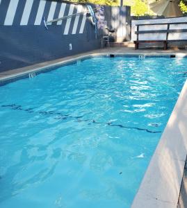 een zwembad van blauw water met een bank erin bij The Gold Lodge in Sonora