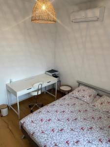 Afbeelding uit fotogalerij van Maison lyon 8 jardin parking studio indépendant sur demande in Bron +33 foto's