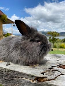 Fotografie z fotogalerie ubytování Cabaña Piedra&Cielo v destinaci Guatavita