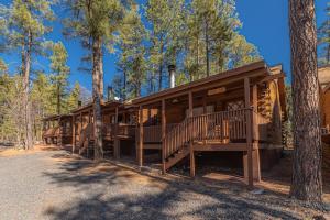 Afbeelding uit fotogalerij van Forest Cabin 3 Bear's Den in Payson