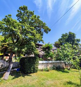 a house with a tree in a yard at Villa NADA 5 star, something really special, the green oasis, IR sauna, 2 x hot tub, next to the beach in Omišalj