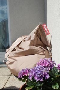 um saco sentado no chão ao lado de flores roxas em Appartamento con terrazza a due minuti dal lago em Minusio