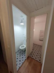 a bathroom with a toilet in a room at LA MAISON DU LAC in Doussard
