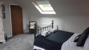 a bedroom with a bed and a skylight at Bodrual cottage in Caernarfon