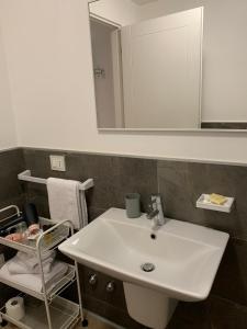 uma casa de banho com um lavatório branco e um espelho. em Appartamenti Scrovegni em Pádua