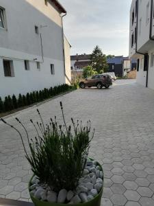 Okolí apartmánu + 20 fotografií