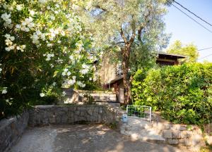 a house with a stone fence and trees at Hidden Gem of Krasici in Radovići