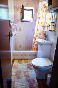 a bathroom with a toilet and a sink and a shower at Hidden Gem of Krasici in Radovići