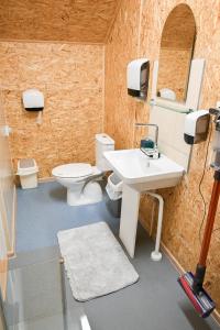 a bathroom with a white sink and a toilet at Haapsalu Kunstikooli hostel in Haapsalu