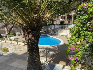 The swimming pool at or close to Sunset chill out