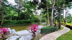 Zahrada ubytování Moosiyard Hometel Khaoyai