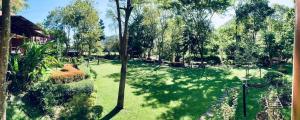 Zahrada ubytování Moosiyard Hometel Khaoyai