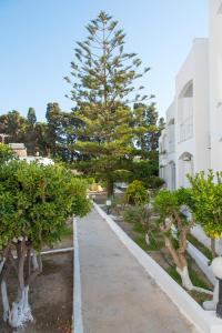 A garden outside Irene Hotel Leros