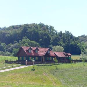 una casa grande en un campo junto a un bosque en KUĆA ZA ODMOR MALI DVORI, en Začretje