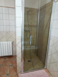 a shower with a glass door in a bathroom at CASA JOAN in Elche