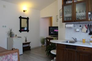 eine Küche mit einer Spüle und einer Arbeitsplatte in der Unterkunft Apartment BenTen in Drvenik
