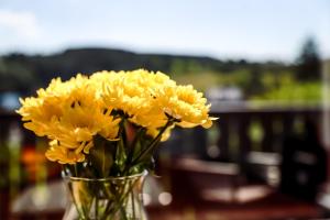 un vaso pieno di fiori gialli su un tavolo di Sonnen Panorama - Abenteurer und Weltentdecker a Winterberg