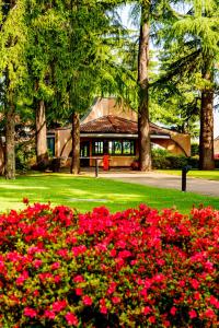 Zahrada ubytování Hotel Pineta