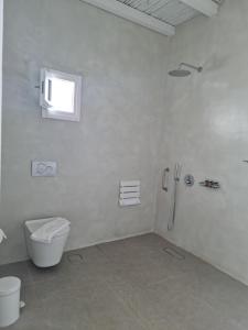 a white bathroom with a shower and a toilet at Arpistis apartments koufonisia in Koufonisia