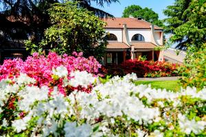 Zahrada ubytování Hotel Pineta