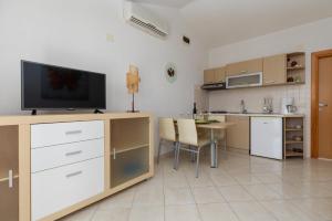 TV a/nebo společenská místnost v ubytování Apartments Paloc - Green