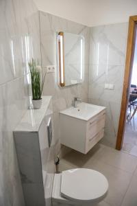 un bagno con un water, un lavandino e uno specchio di Família Apartmanház a Sárvár