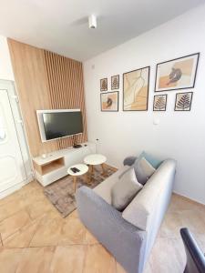 Televízia a/alebo spoločenská miestnosť v ubytovaní Villa Piljusic