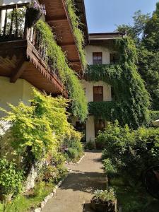 un bâtiment avec du lierre sur son côté dans l'établissement Globtroter Guest House, à Cracovie