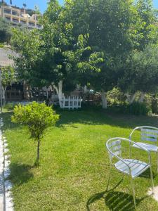 Zahrada ubytování Olive tree house,Agios Gordios